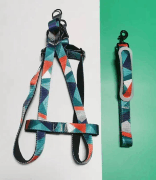 Recycled Polyester Striped Harness & Leash Set