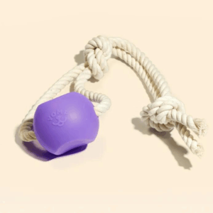 BallRope Silicone Dog Toy