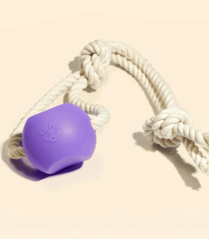 BallRope Silicone Dog Toy