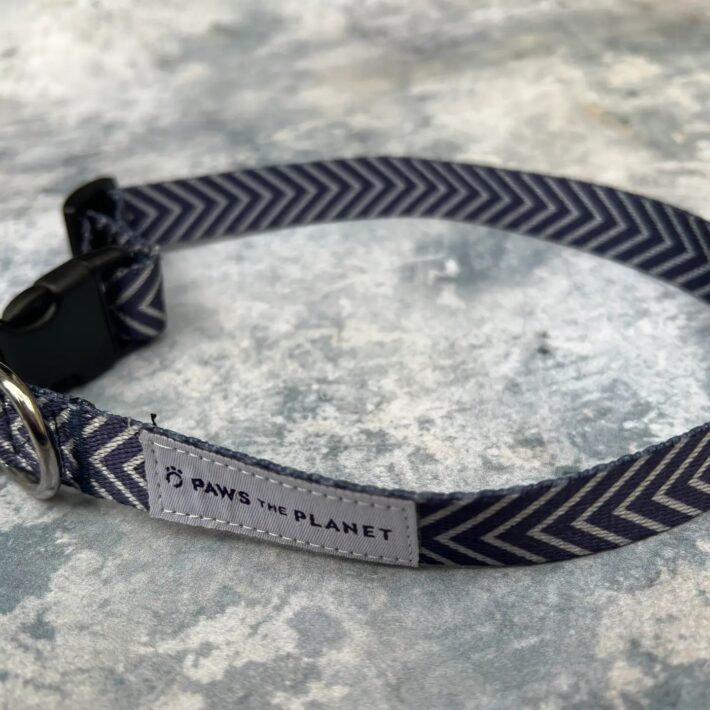 Recycled Dog Collar