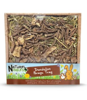 Dandelion Forage Tray