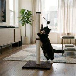 CAT SCRATCHER POST 1 JPEG