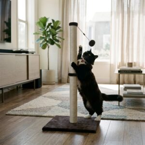 Cat Scratching Post