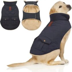DAPPER DOG JACKET 1 JPEG