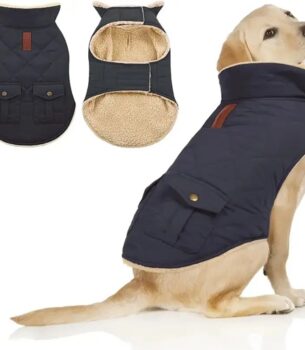 Padded Waterproof Dog Coat