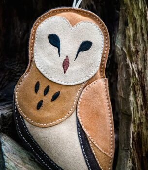 Elder The Owl Cat Toy