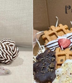 Dog Toy & Treat Offer